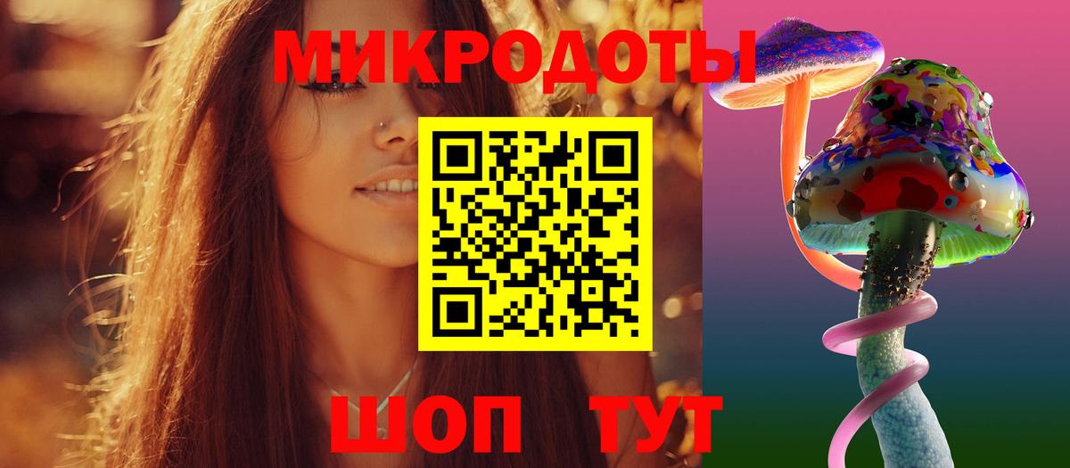 Псилоцибиновые грибы Psilocybe  Галлюциногенные грибы Psilocybe  Вход с VPN  Северск 